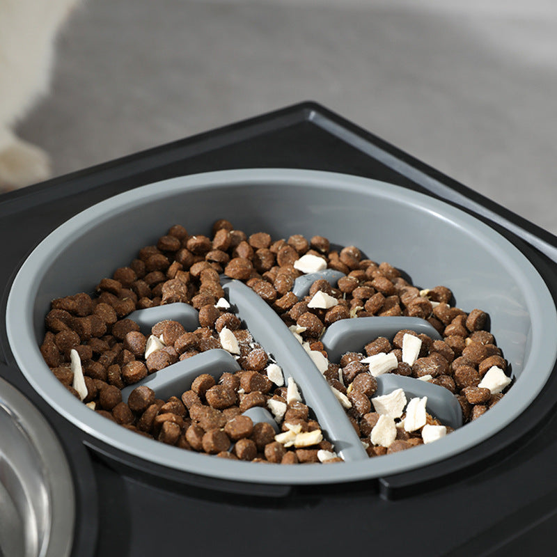 Elevated Dog Bowl for Comfy, Anti-Choke Feeding - Tim Ecommerce Specialist